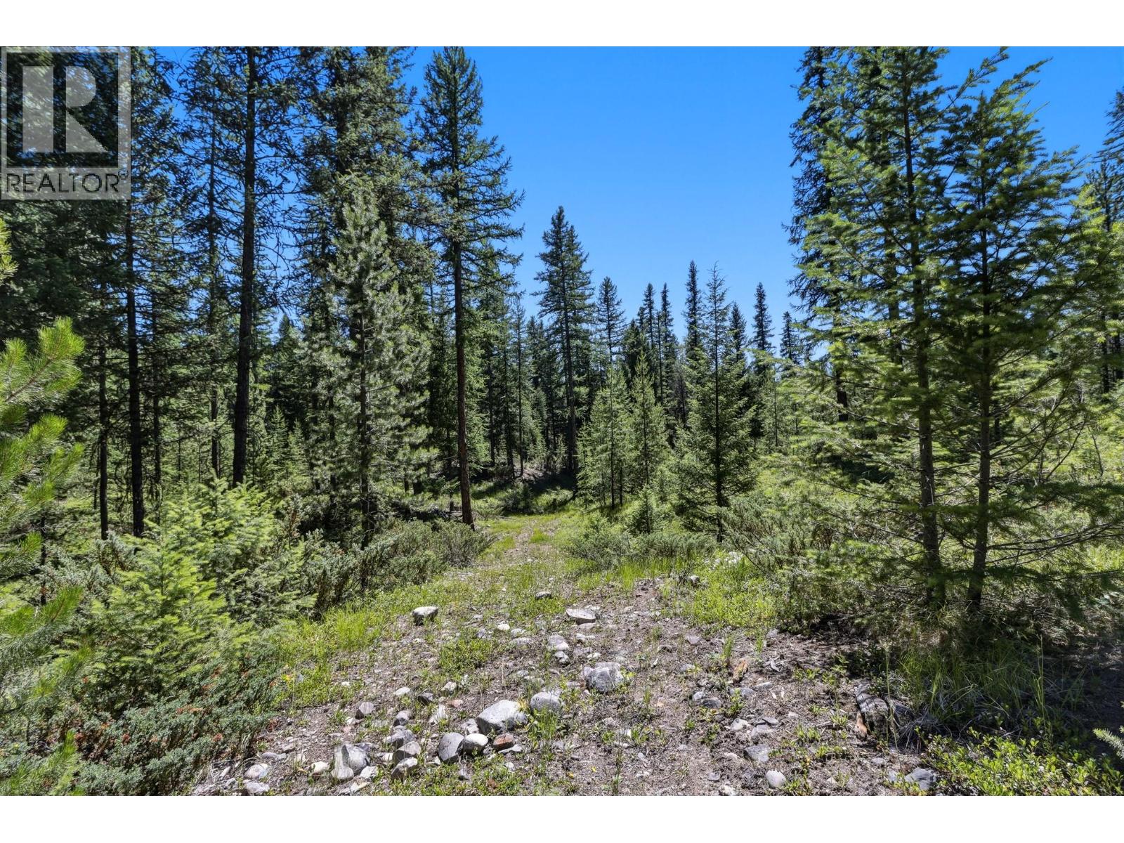 Lot 3 Lakeview Drive, Cranbrook, British Columbia  V1C 6W4 - Photo 12 - 10394606