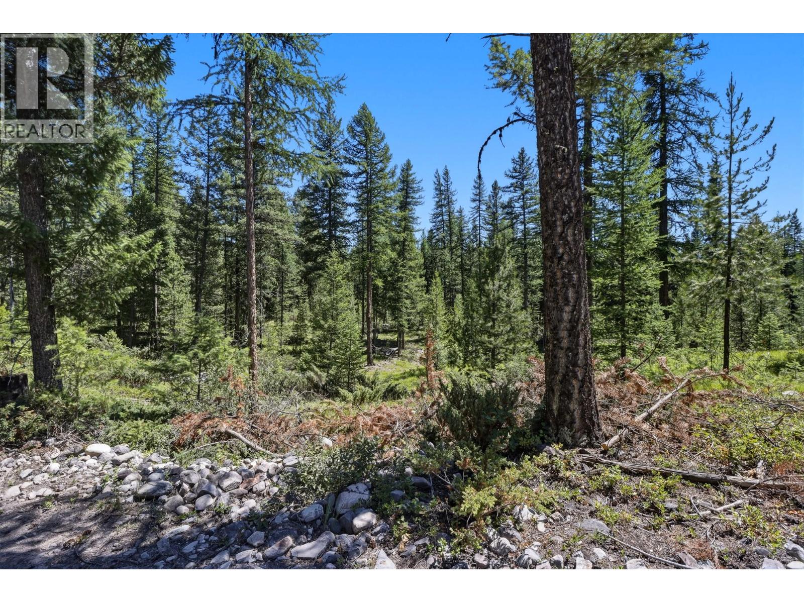 Lot 3 Lakeview Drive, Cranbrook, British Columbia  V1C 6W4 - Photo 9 - 10394606