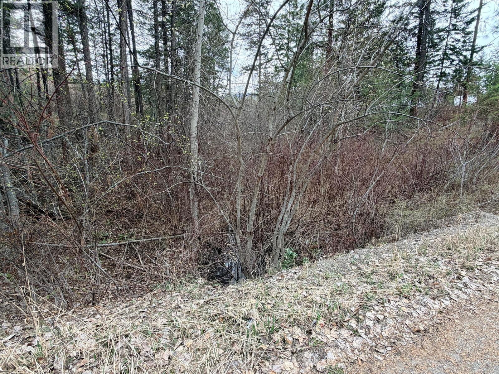 7974 Briarwood Road, Kelowna, British Columbia  V1Z 3V7 - Photo 8 - 10382163