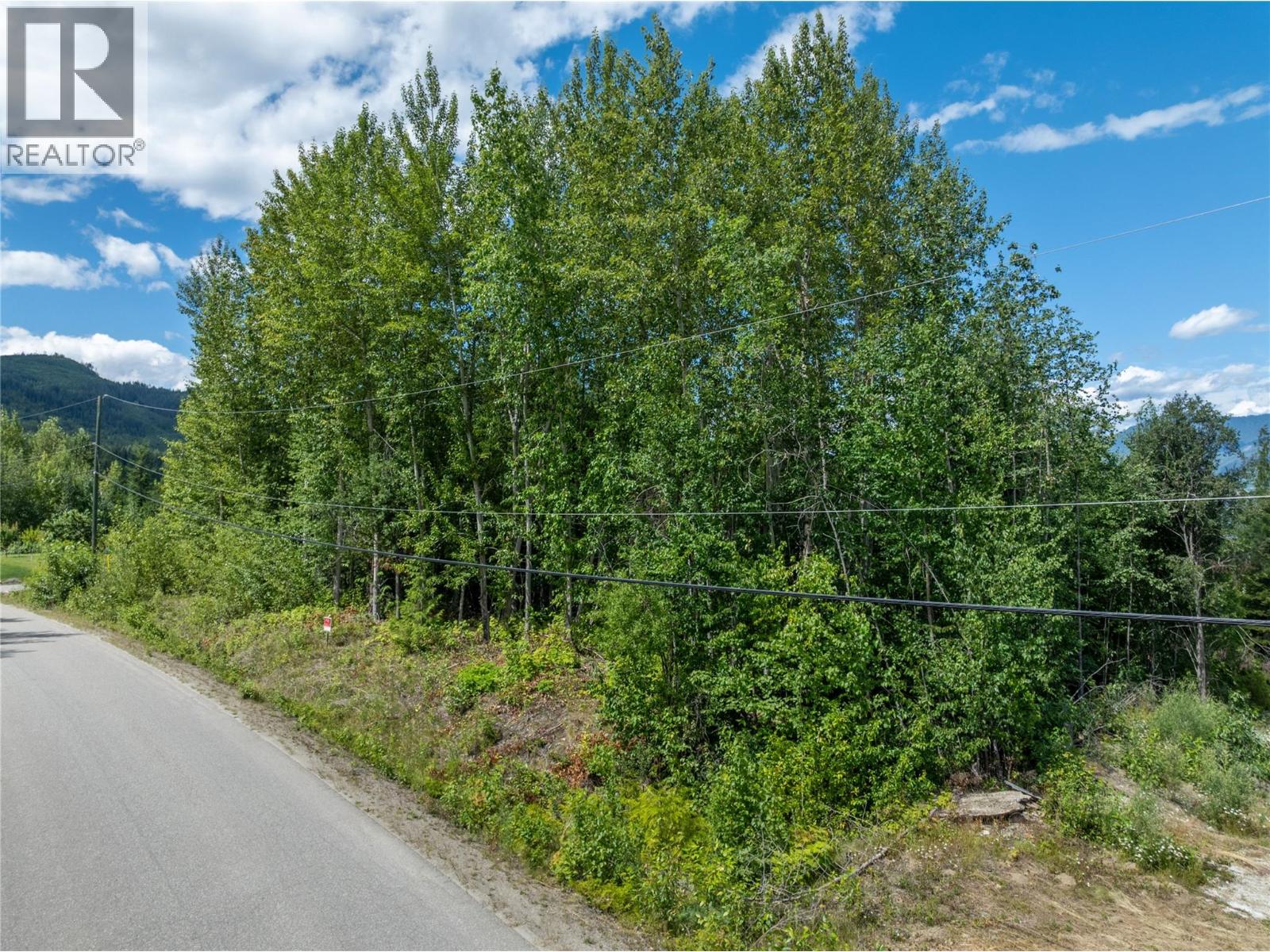 Lot 100 Heritage Drive, Eagle Bay, British Columbia  V0E 1T0 - Photo 10 - 10394676