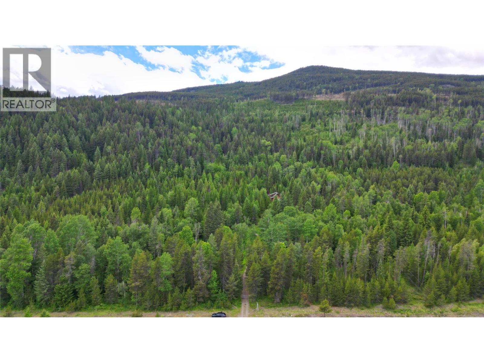 2201 3/95 Highway, Yahk, British Columbia  V0B 2P0 - Photo 18 - 10394857
