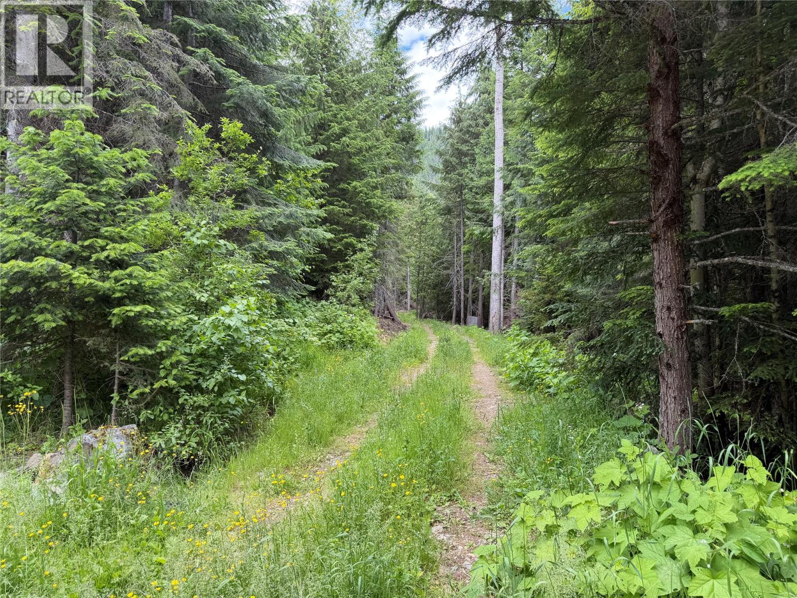 6610 6 Highway, Ymir, British Columbia  V0G 2K0 - Photo 34 - 10394848