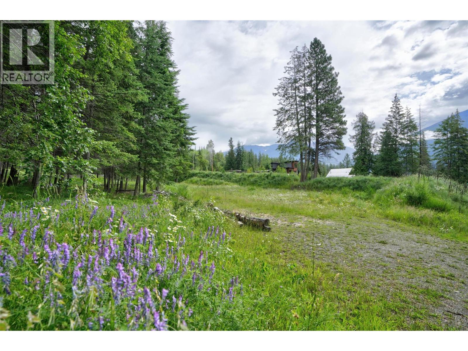 Pcl A Hillside Avenue, Kaslo, British Columbia  V0G 1M0 - Photo 10 - 10394495
