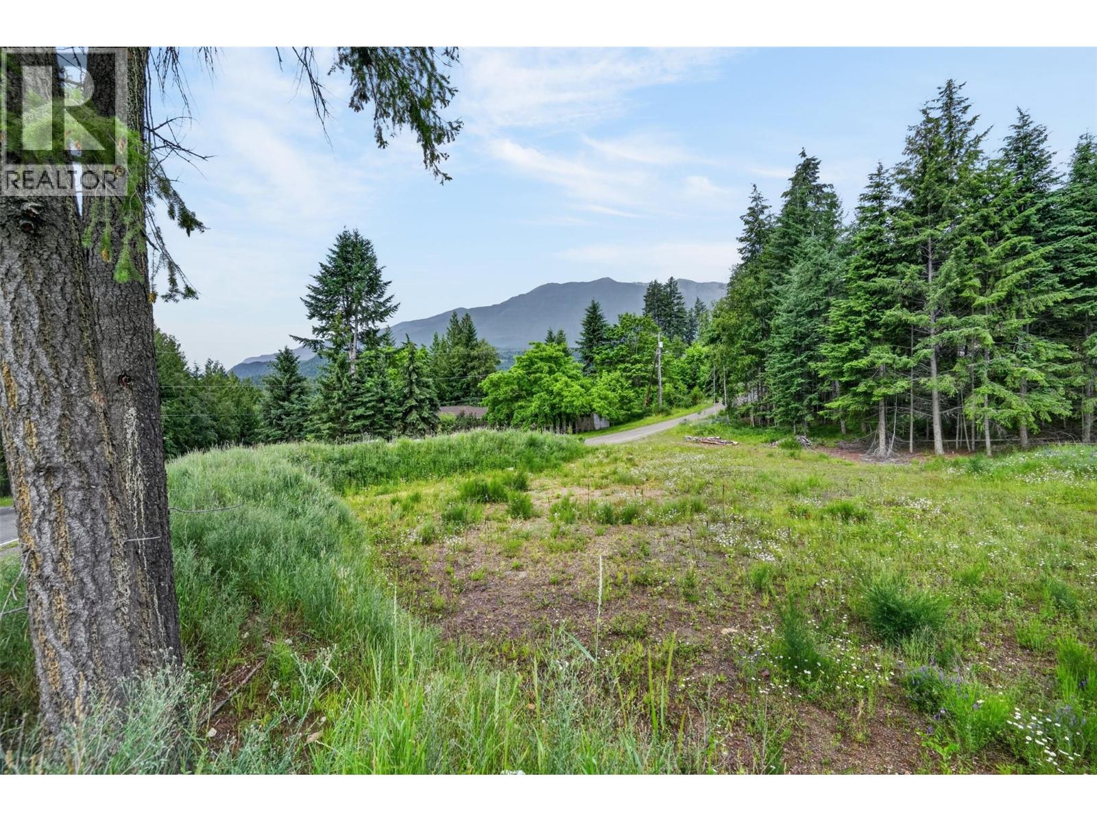 Pcl A Hillside Avenue, Kaslo, British Columbia  V0G 1M0 - Photo 11 - 10394495