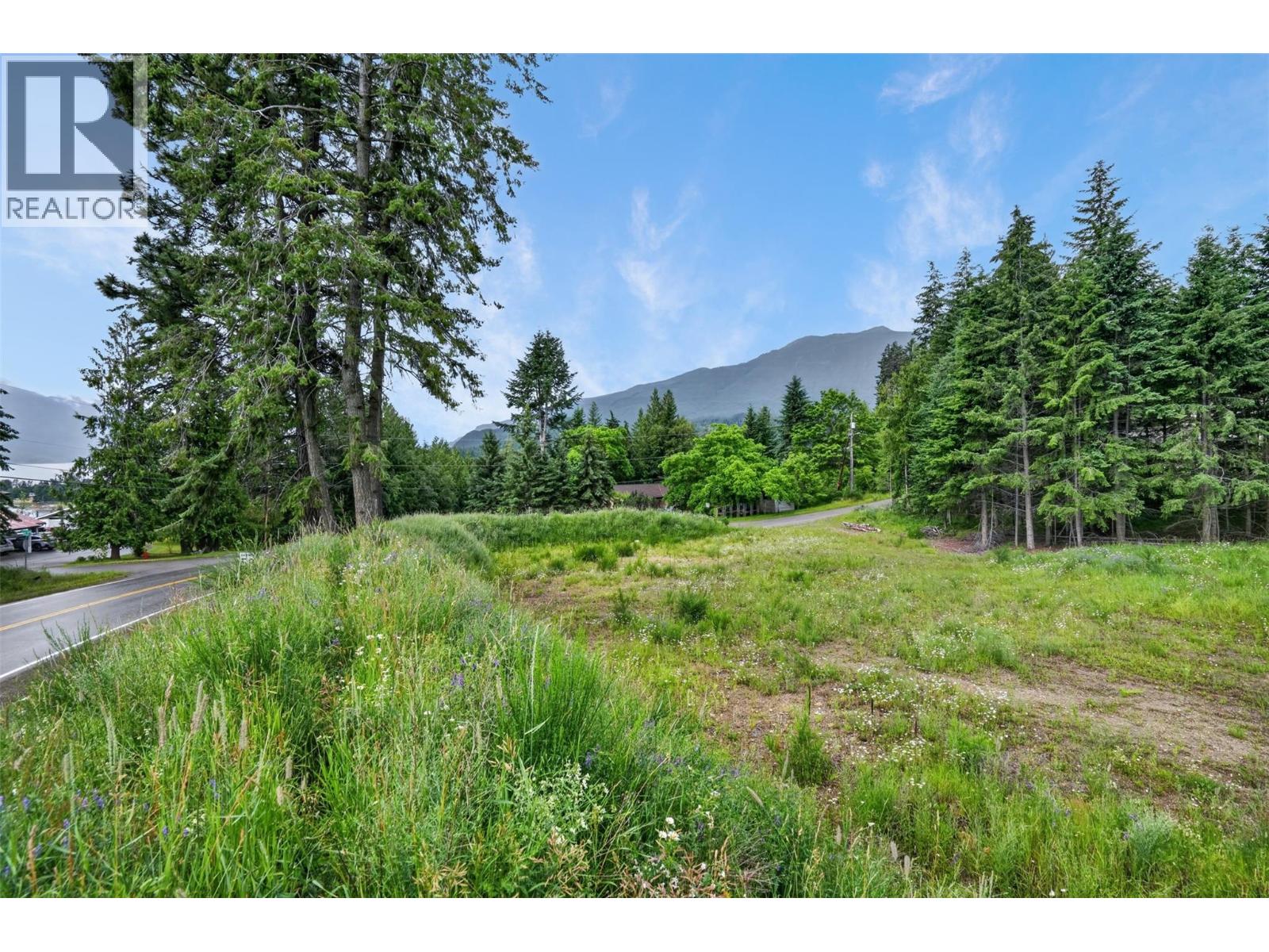 Pcl A Hillside Avenue, Kaslo, British Columbia  V0G 1M0 - Photo 12 - 10394495