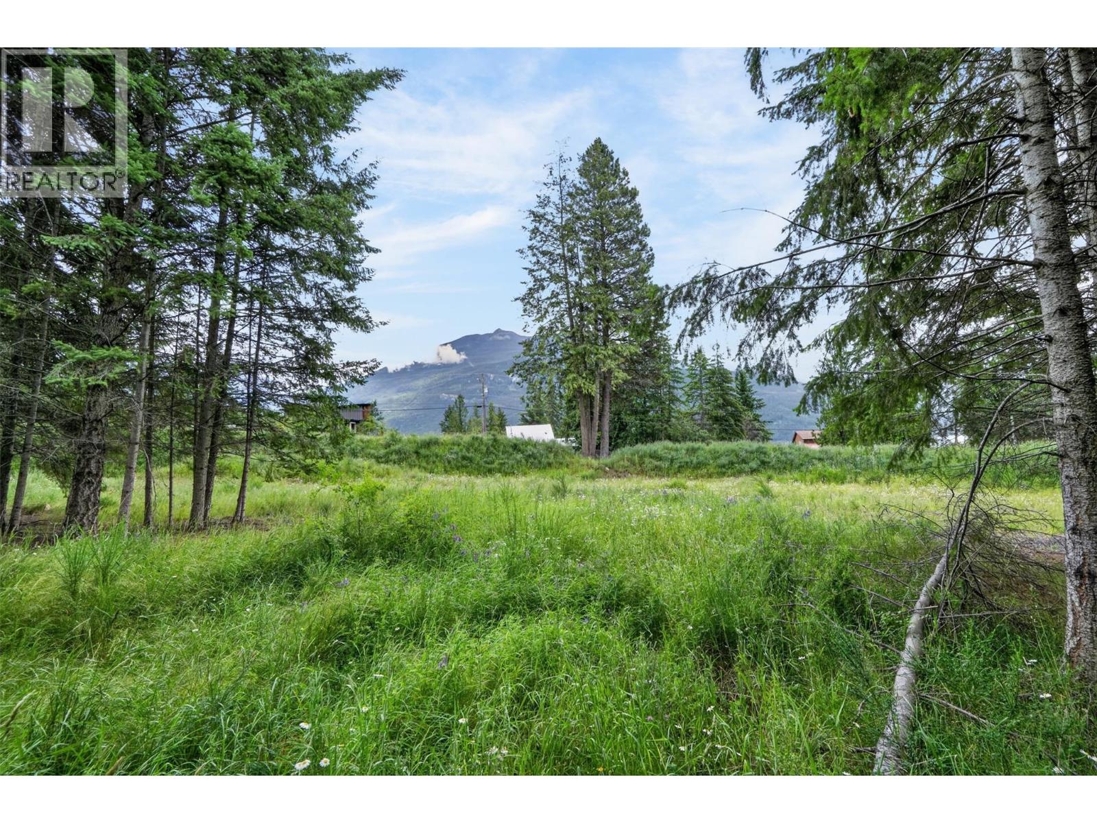 Pcl A Hillside Avenue, Kaslo, British Columbia  V0G 1M0 - Photo 18 - 10394495