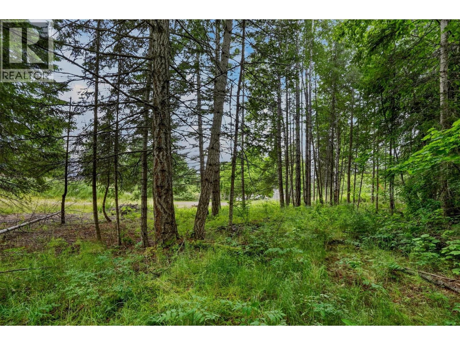 Pcl A Hillside Avenue, Kaslo, British Columbia  V0G 1M0 - Photo 19 - 10394495