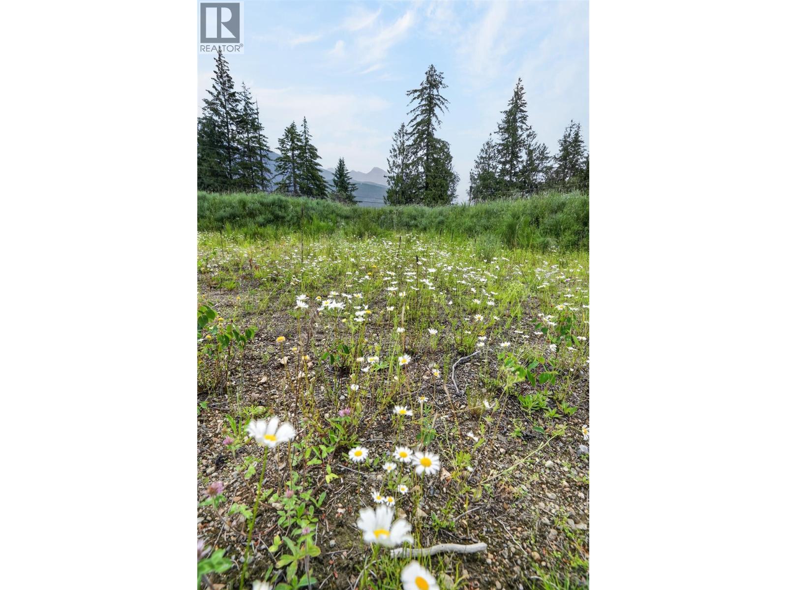 Pcl A Hillside Avenue, Kaslo, British Columbia  V0G 1M0 - Photo 22 - 10394495