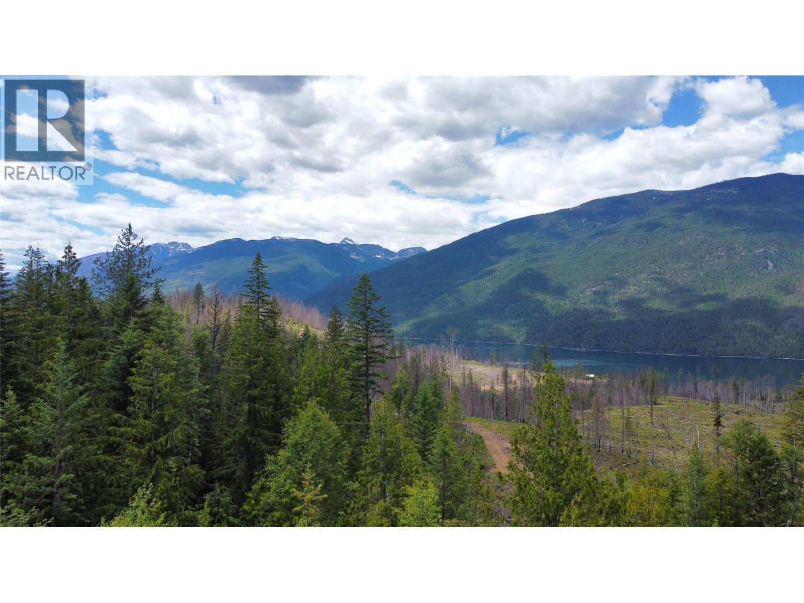 9155 Highway 6, Silverton, British Columbia  V0G 1S0 - Photo 11 - 10394801
