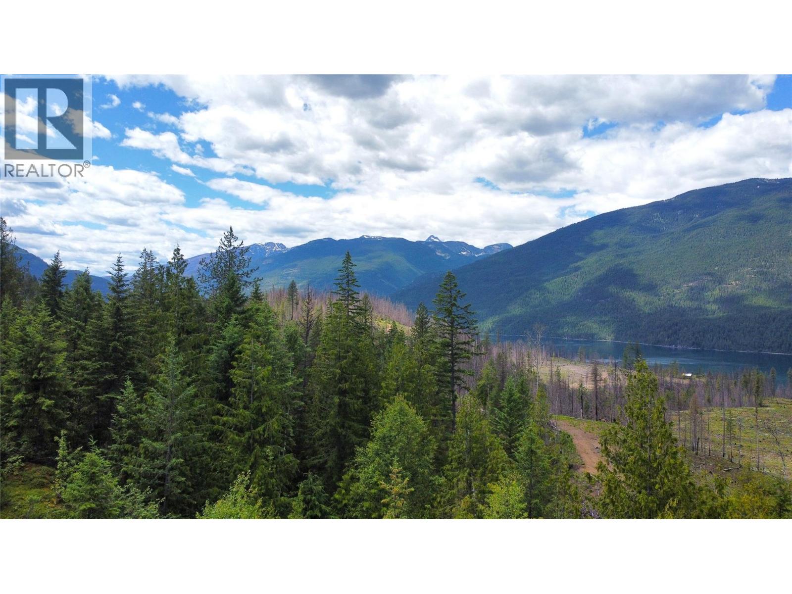 9155 Highway 6, Silverton, British Columbia  V0G 1S0 - Photo 12 - 10394801