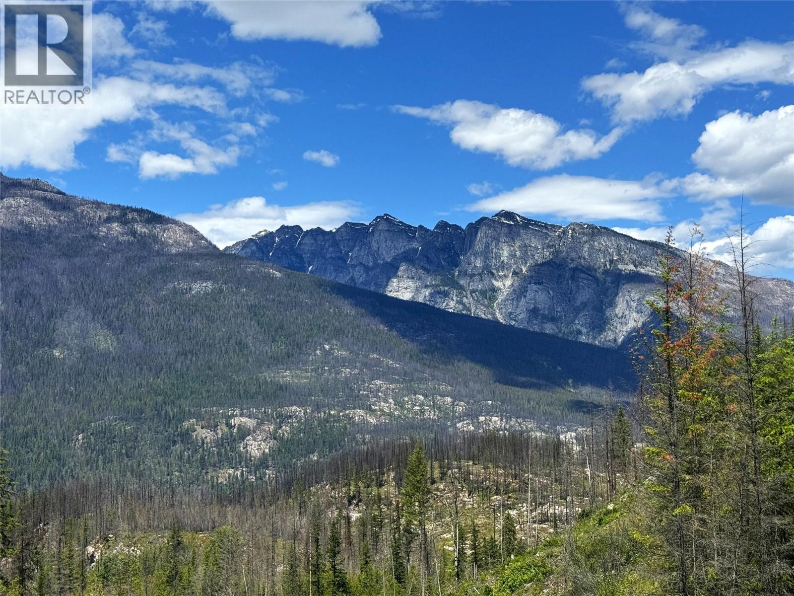 9155 Highway 6, Silverton, British Columbia  V0G 1S0 - Photo 54 - 10394801