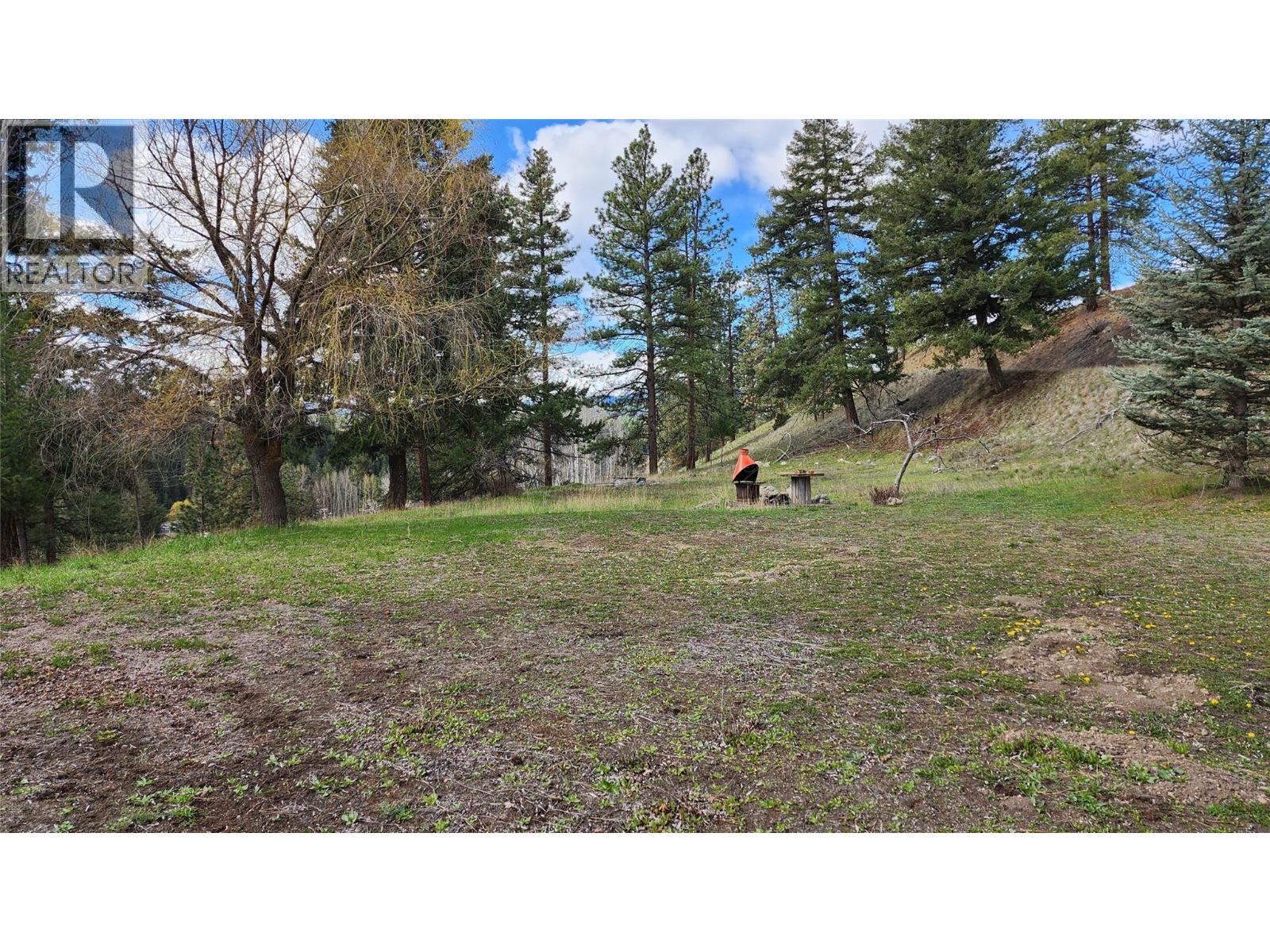 306 Jacobson Road, Princeton, British Columbia  V0X 1W0 - Photo 12 - 10395045
