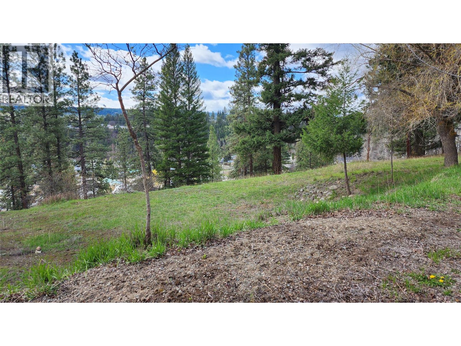 306 Jacobson Road, Princeton, British Columbia  V0X 1W0 - Photo 14 - 10395045