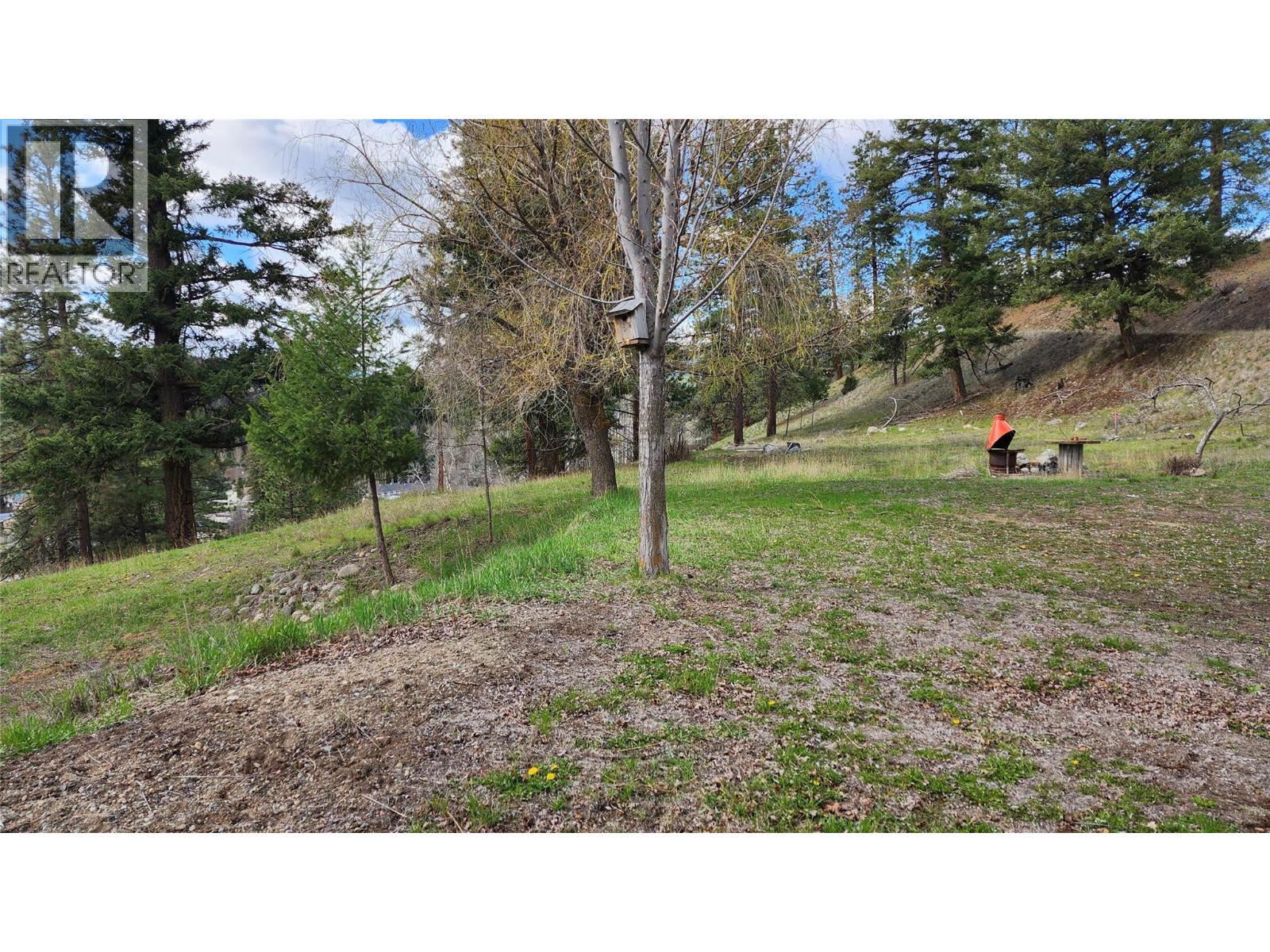 306 Jacobson Road, Princeton, British Columbia  V0X 1W0 - Photo 15 - 10395045