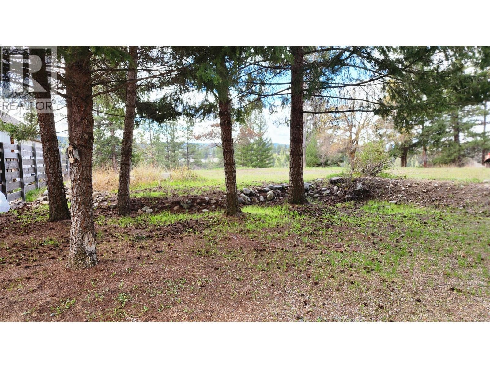306 Jacobson Road, Princeton, British Columbia  V0X 1W0 - Photo 18 - 10395045