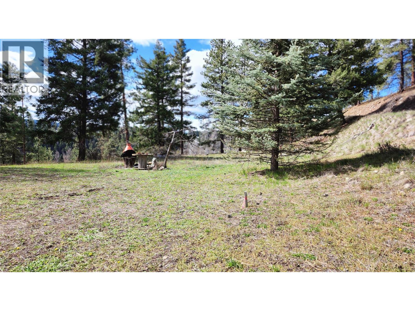 306 Jacobson Road, Princeton, British Columbia  V0X 1W0 - Photo 20 - 10395045