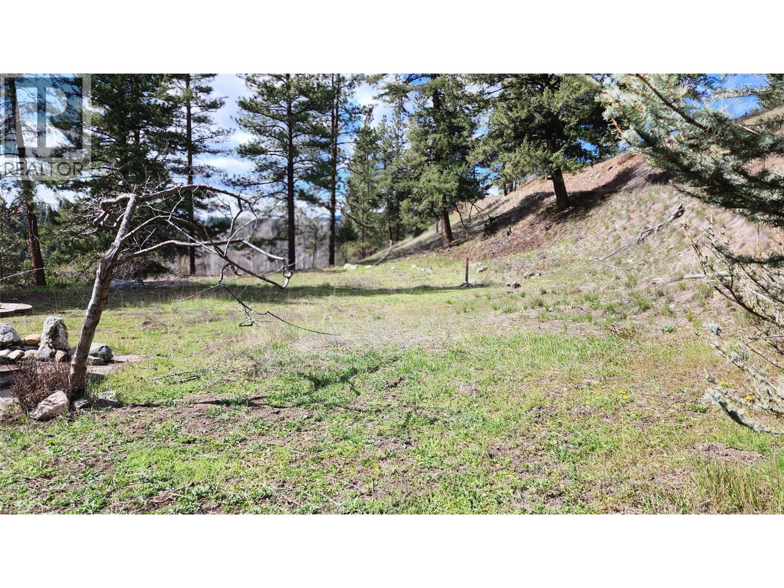 306 Jacobson Road, Princeton, British Columbia  V0X 1W0 - Photo 23 - 10395045