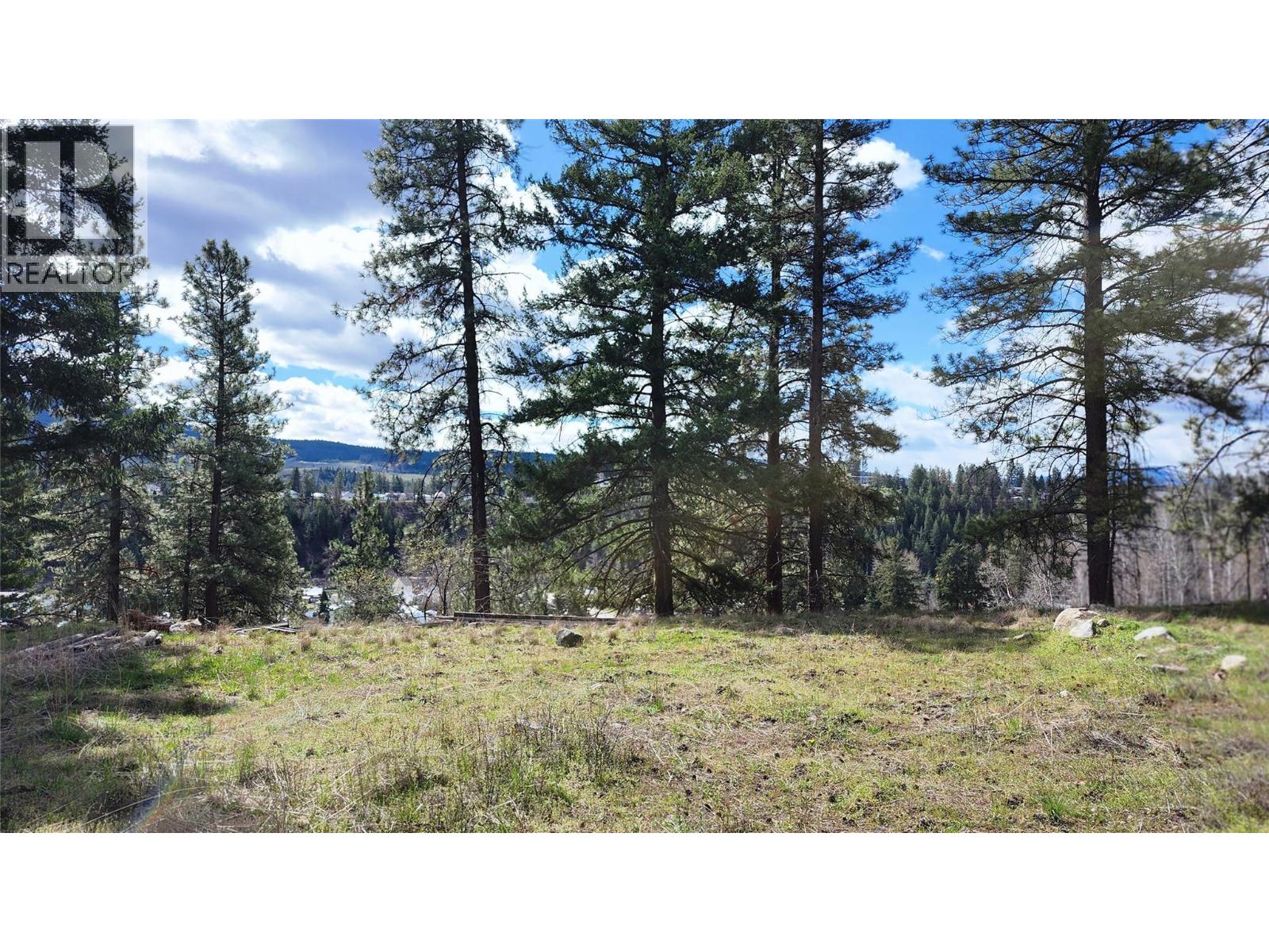 306 Jacobson Road, Princeton, British Columbia  V0X 1W0 - Photo 25 - 10395045
