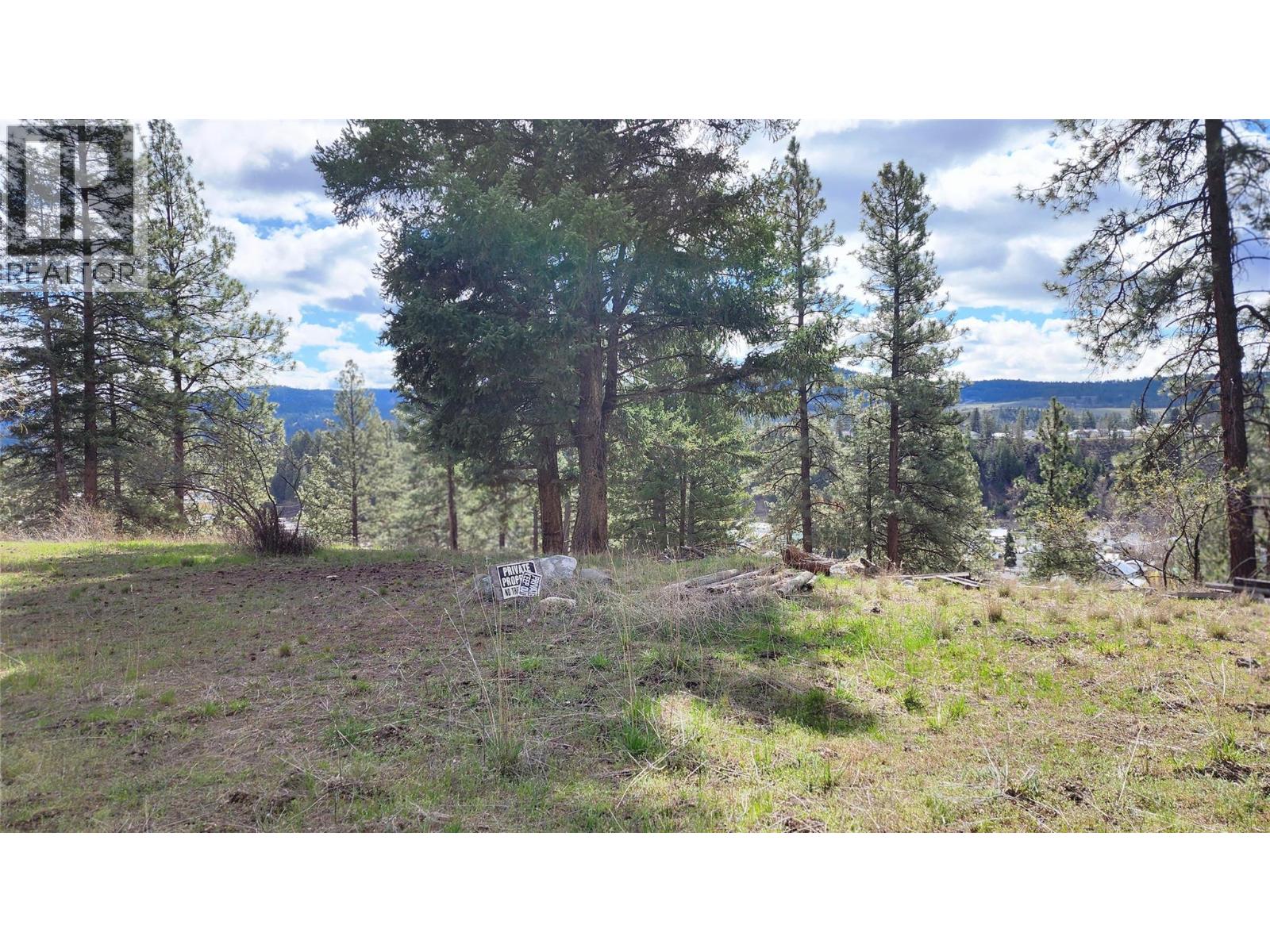 306 Jacobson Road, Princeton, British Columbia  V0X 1W0 - Photo 26 - 10395045