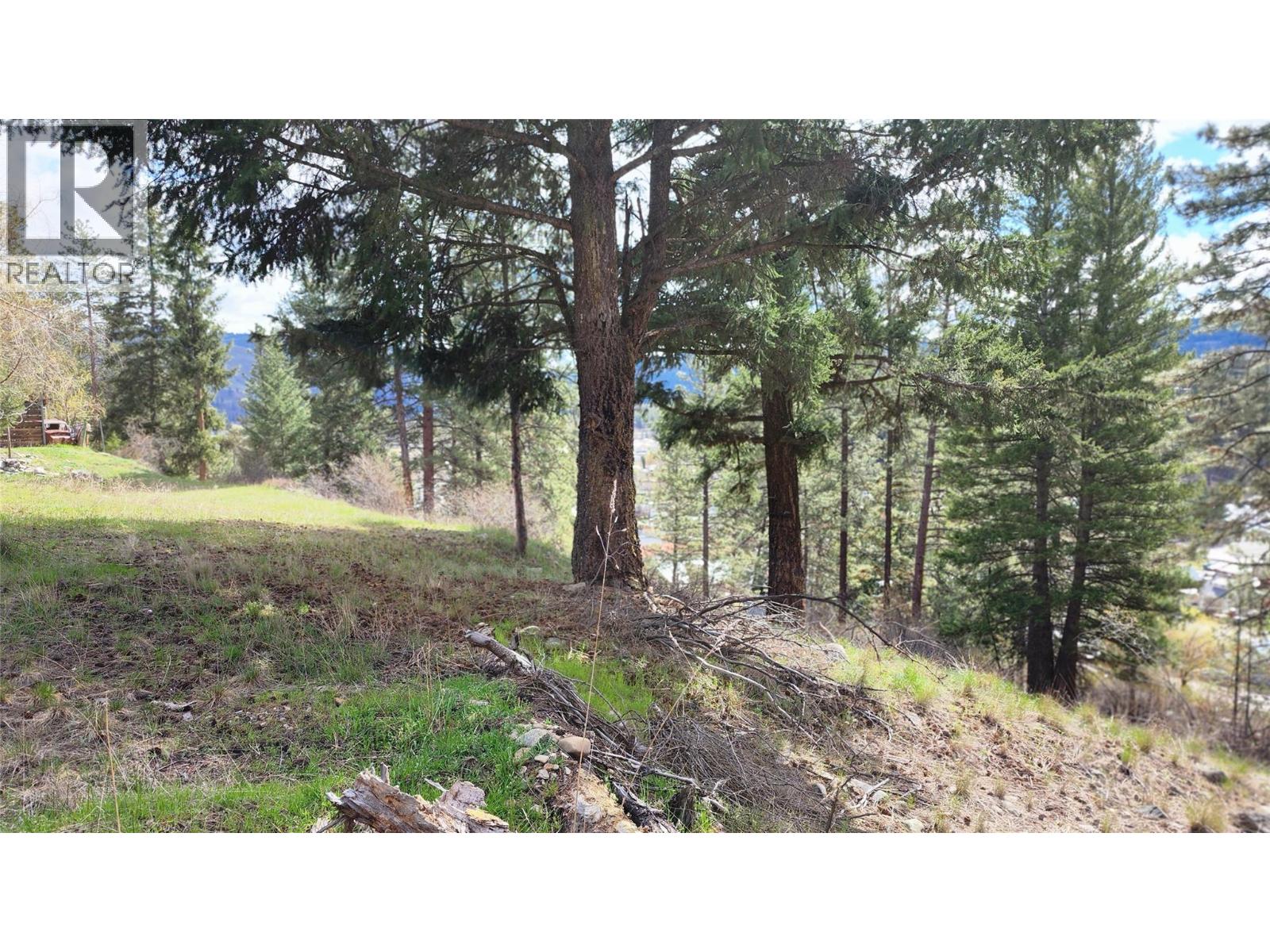 306 Jacobson Road, Princeton, British Columbia  V0X 1W0 - Photo 27 - 10395045