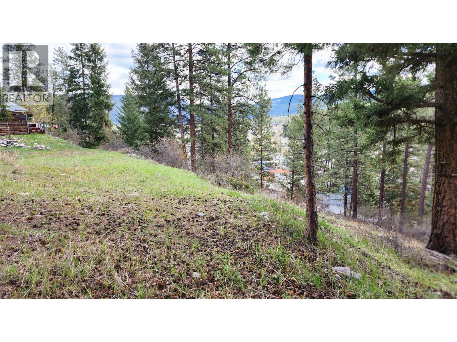 306 Jacobson Road, Princeton, British Columbia  V0X 1W0 - Photo 29 - 10395045