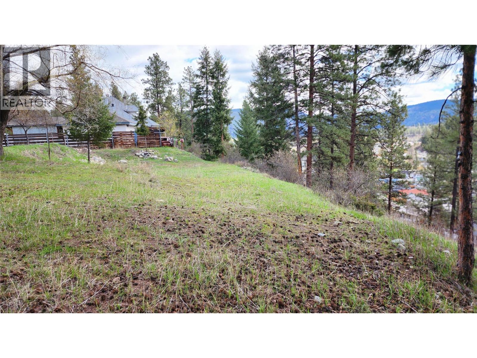 306 Jacobson Road, Princeton, British Columbia  V0X 1W0 - Photo 30 - 10395045
