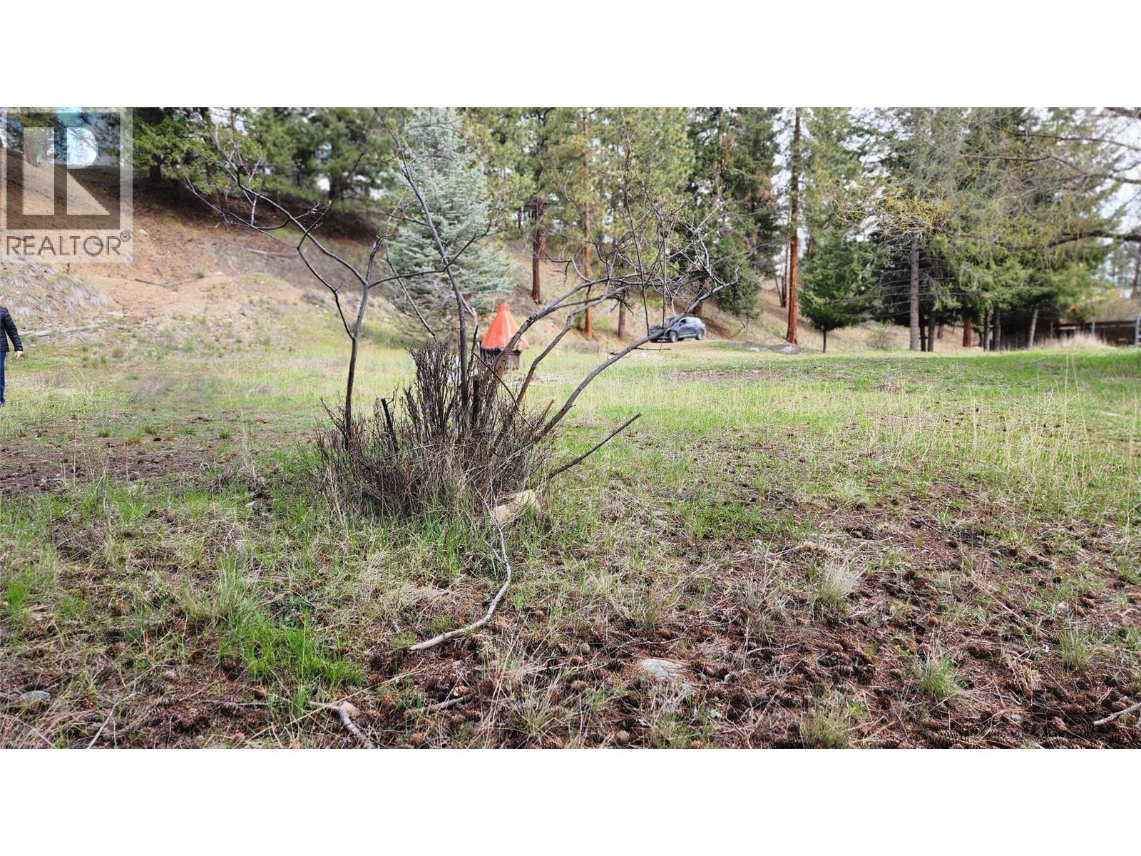 306 Jacobson Road, Princeton, British Columbia  V0X 1W0 - Photo 32 - 10395045