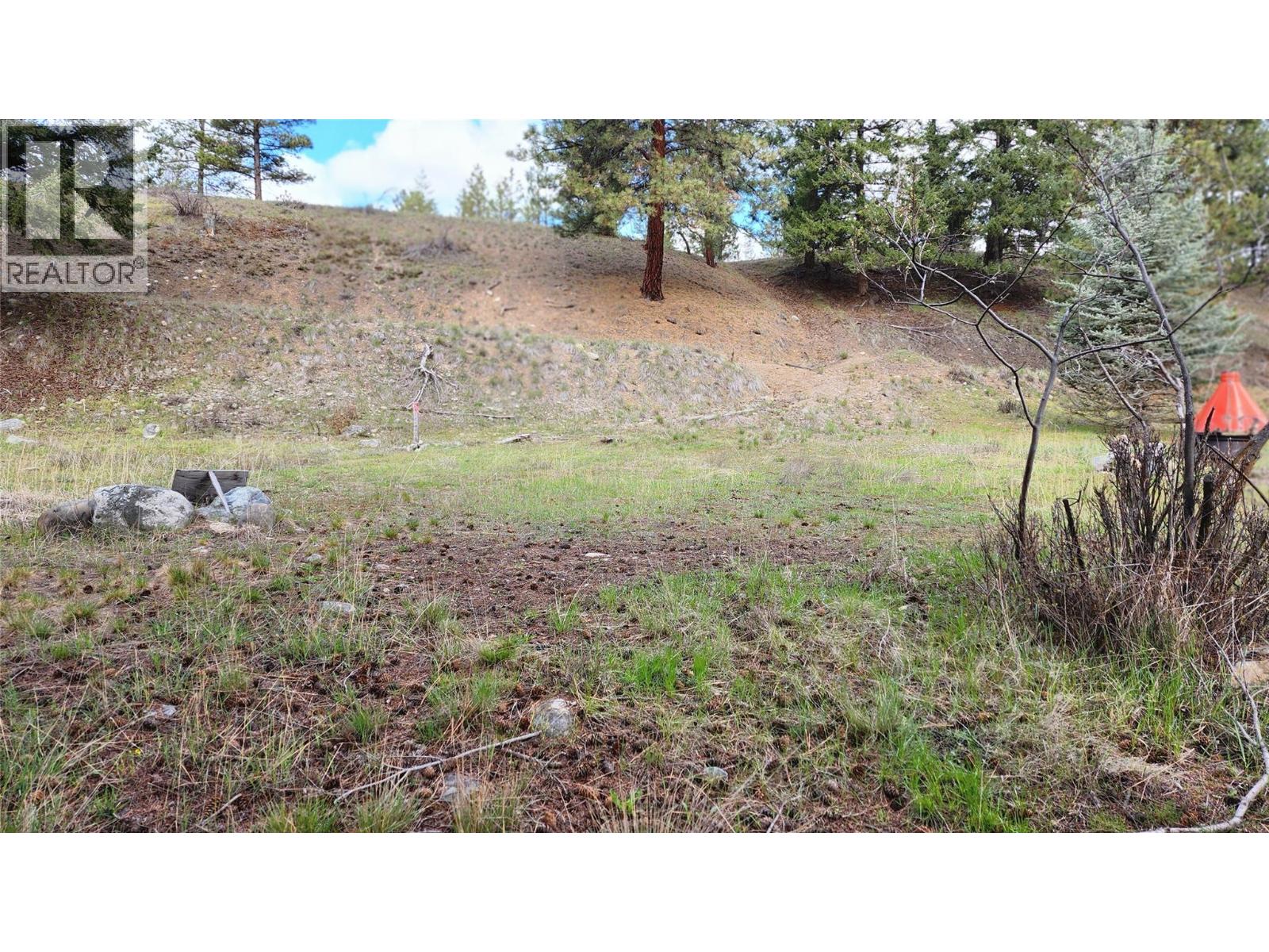306 Jacobson Road, Princeton, British Columbia  V0X 1W0 - Photo 33 - 10395045