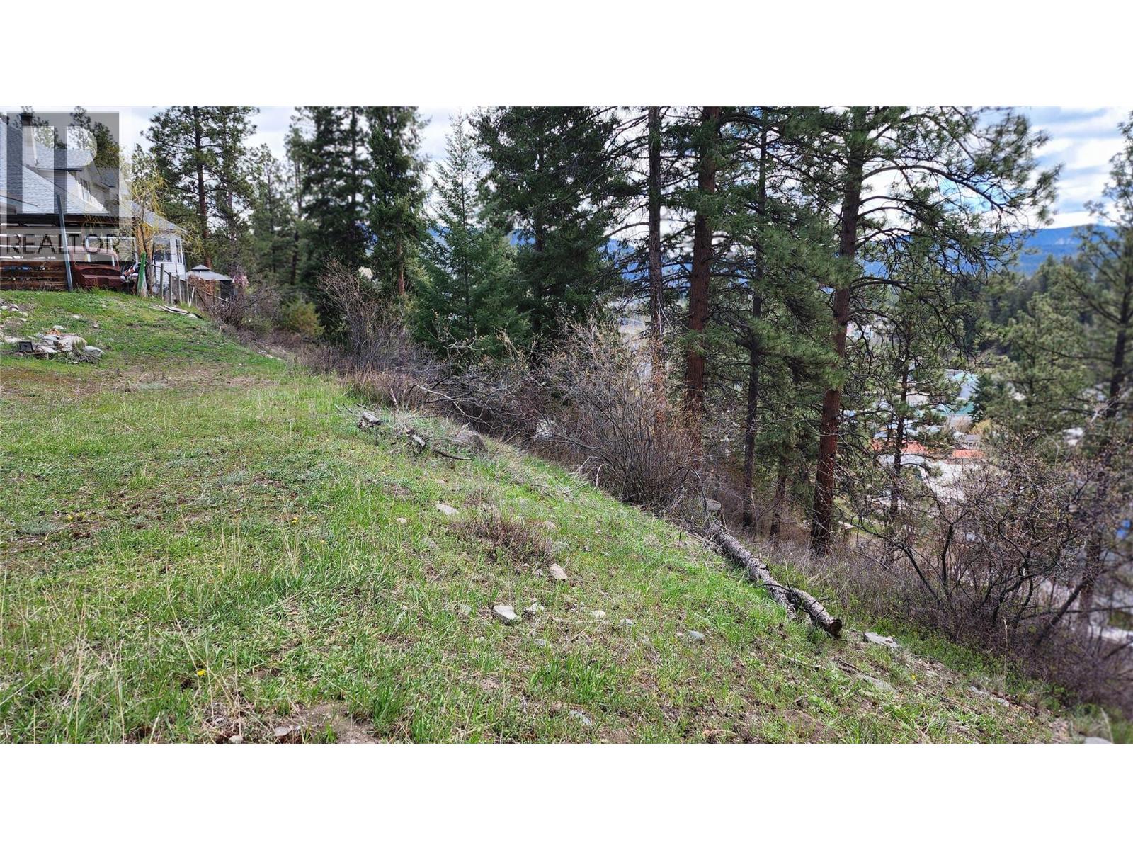 306 Jacobson Road, Princeton, British Columbia  V0X 1W0 - Photo 37 - 10395045