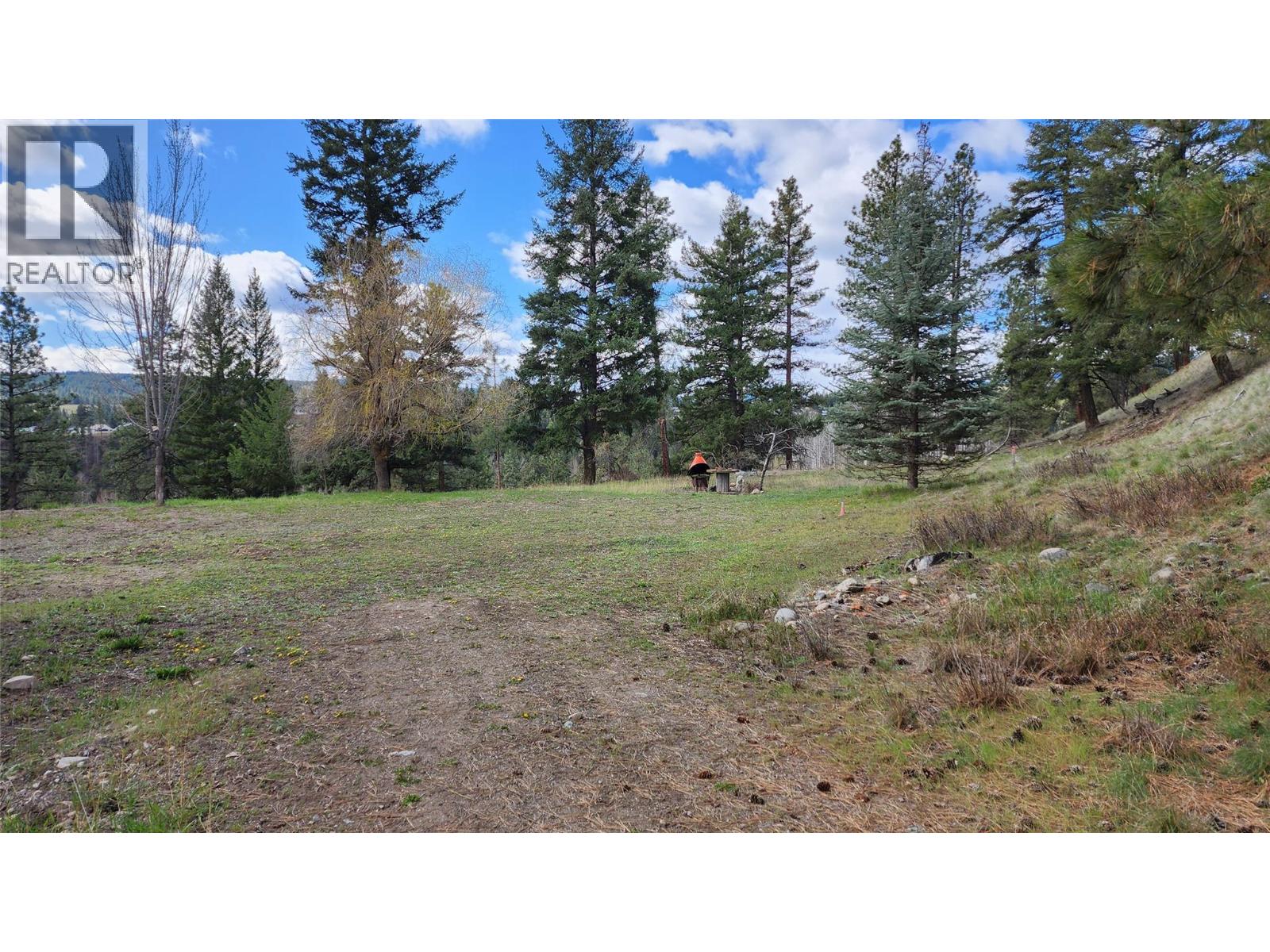 306 Jacobson Road, Princeton, British Columbia  V0X 1W0 - Photo 6 - 10395045