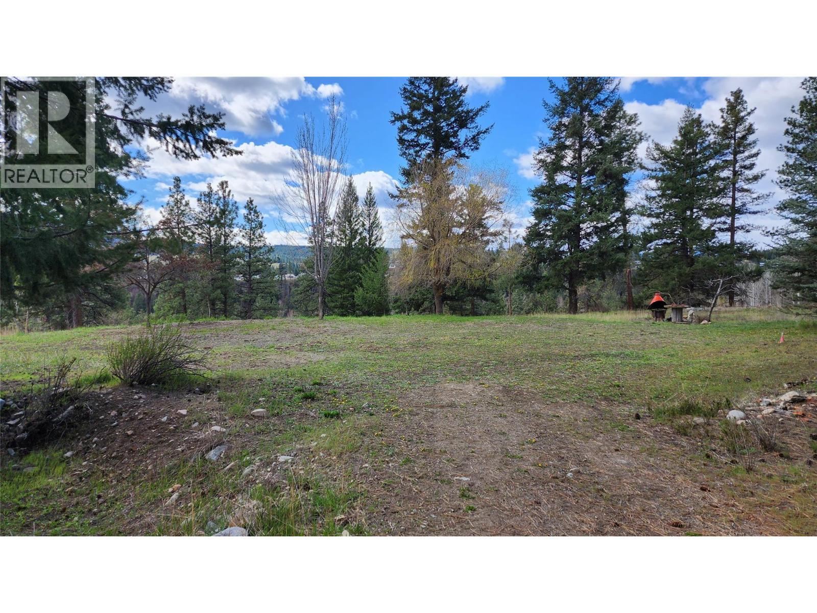 306 Jacobson Road, Princeton, British Columbia  V0X 1W0 - Photo 7 - 10395045