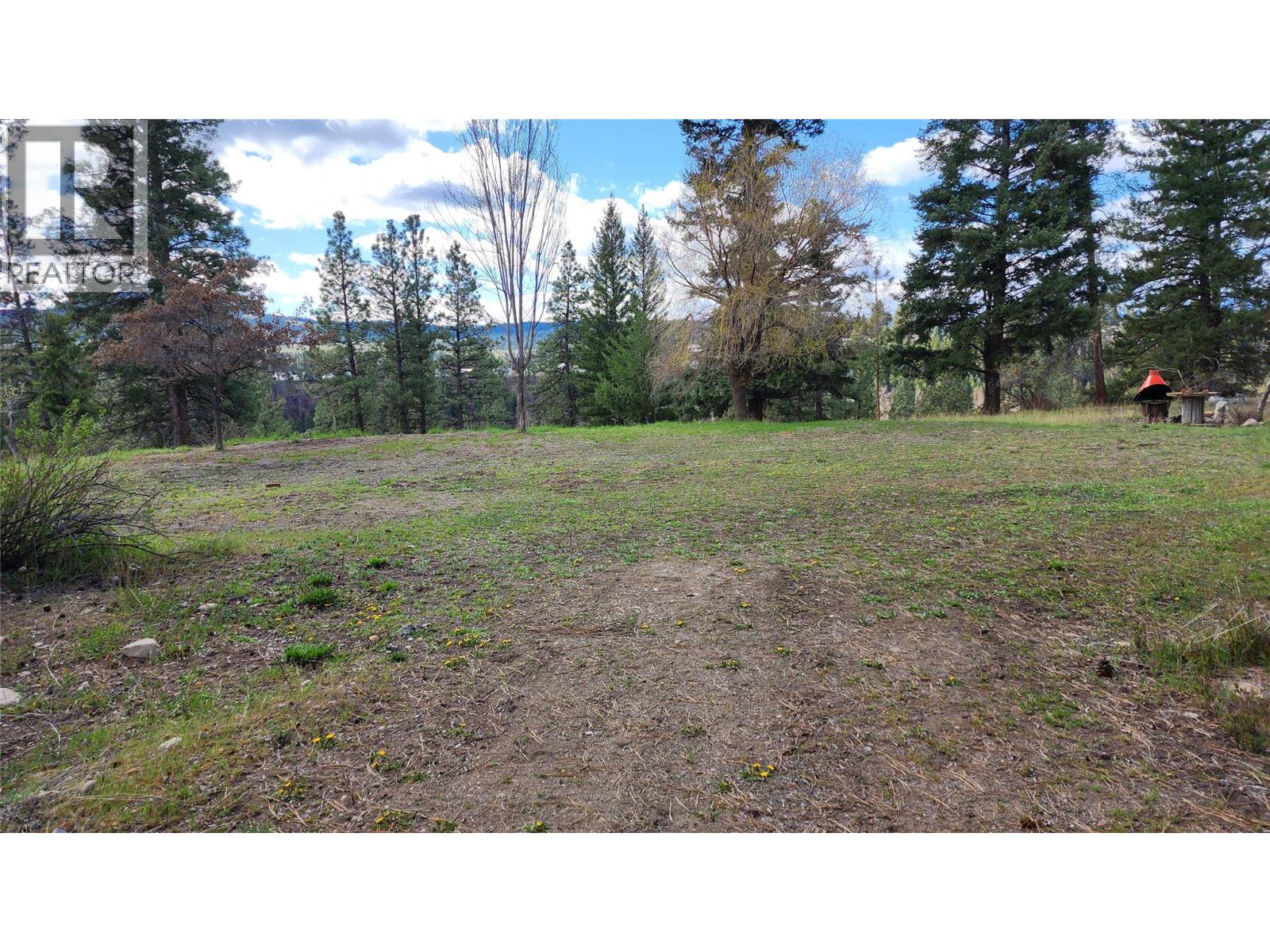 306 Jacobson Road, Princeton, British Columbia  V0X 1W0 - Photo 9 - 10395045