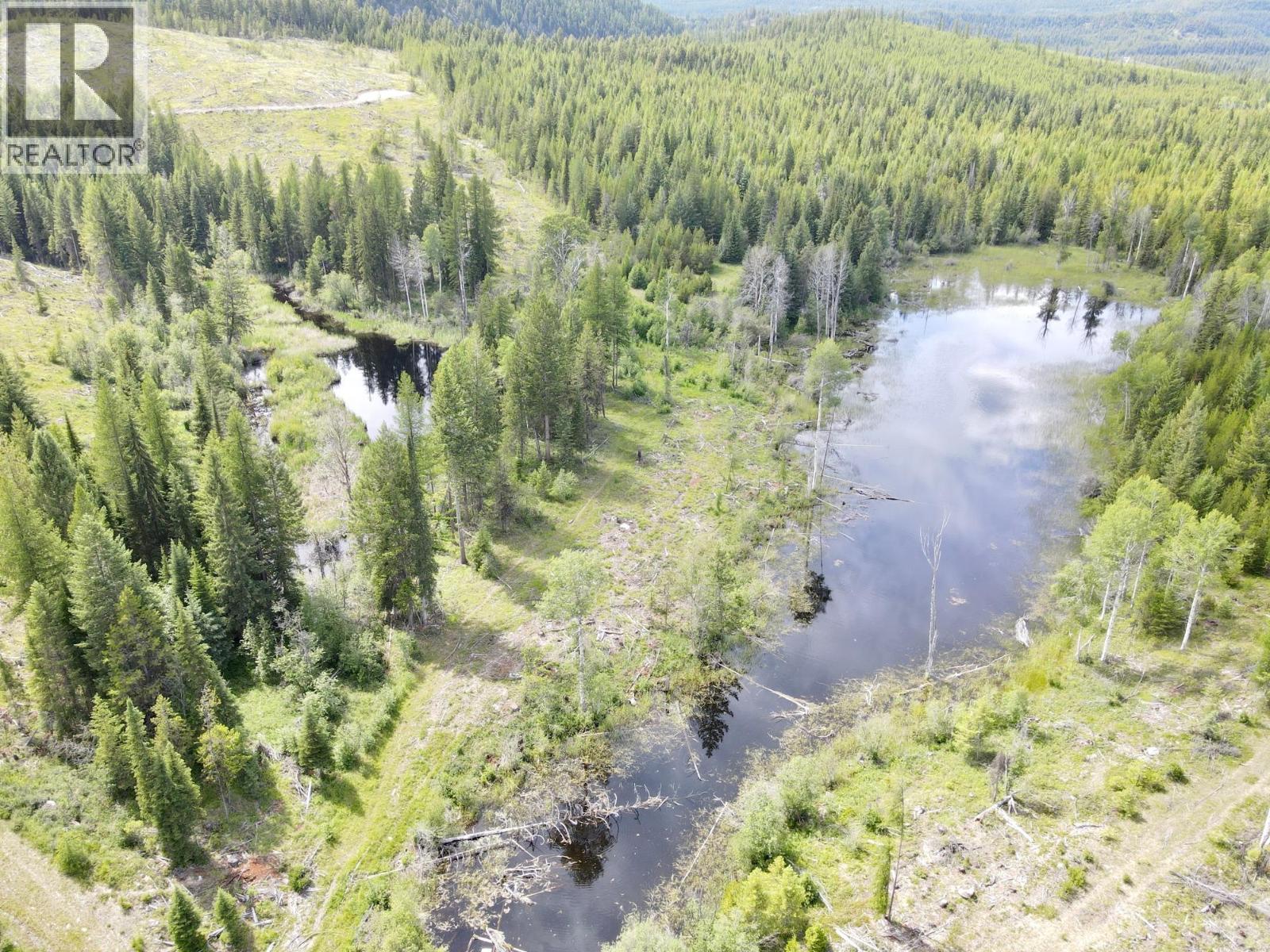 442 Lumberton Road, Cranbrook, British Columbia  V1C 6X2 - Photo 21 - 10394785