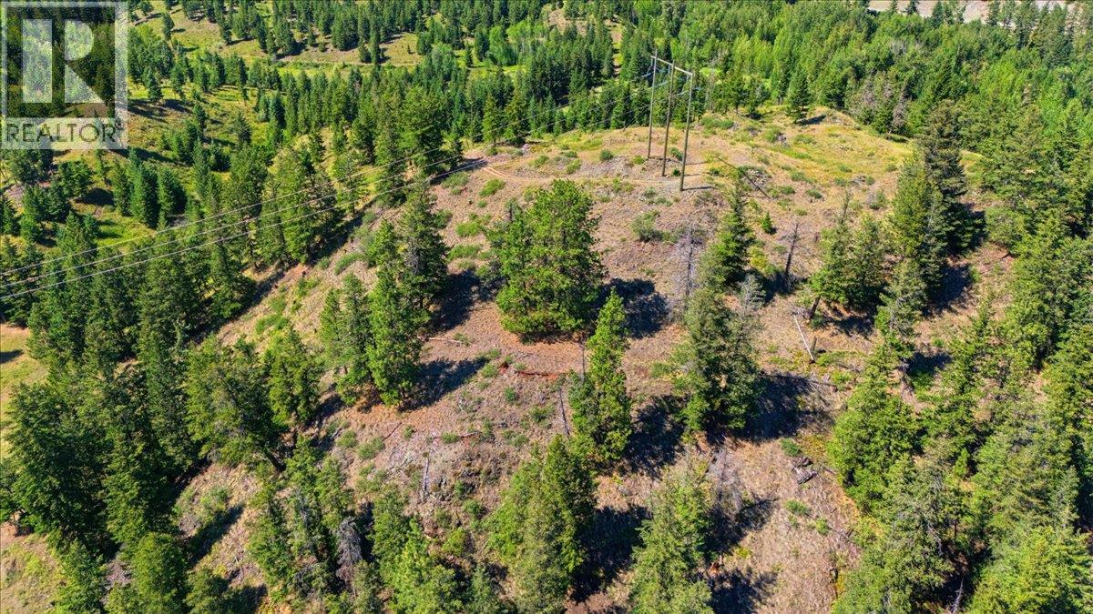 Lot 1 Westwynd Drive, Falkland, British Columbia  V0E 1W0 - Photo 11 - 10392400