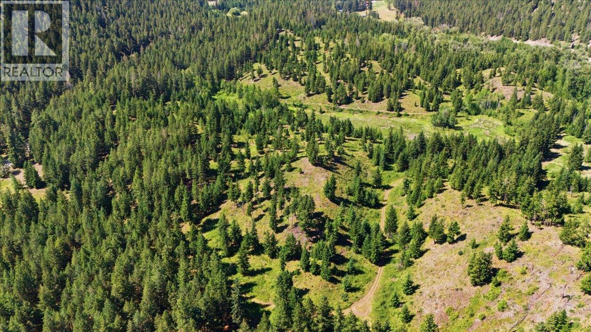 Lot 1 Westwynd Drive, Falkland, British Columbia  V0E 1W0 - Photo 13 - 10392400