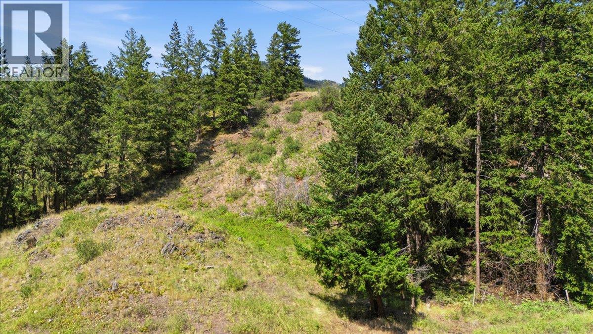 Lot 1 Westwynd Drive, Falkland, British Columbia  V0E 1W0 - Photo 22 - 10392400