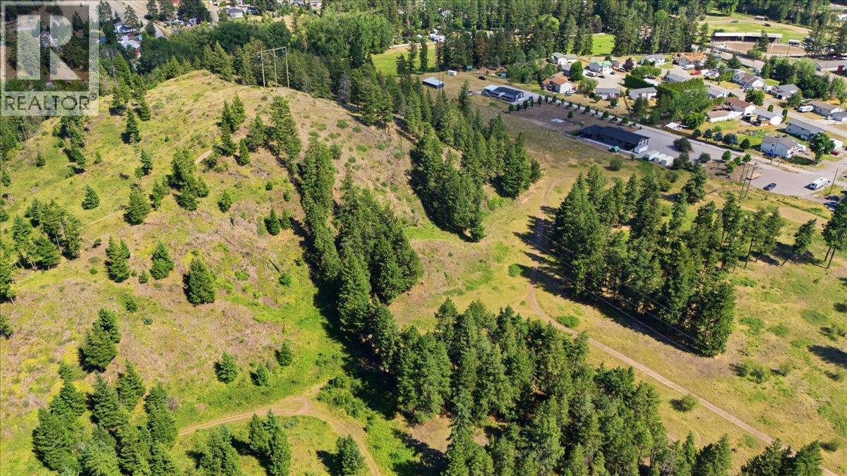 Lot 1 Westwynd Drive, Falkland, British Columbia  V0E 1W0 - Photo 4 - 10392400