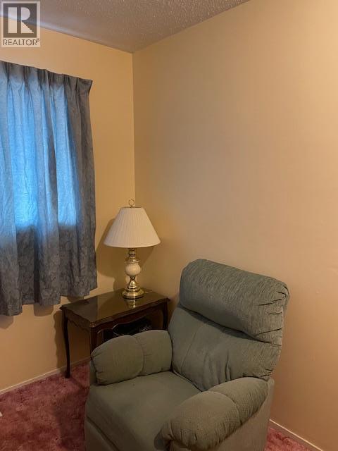1243 Pinyon Road, Sparwood, British Columbia  V0B 2G2 - Photo 11 - 10395087