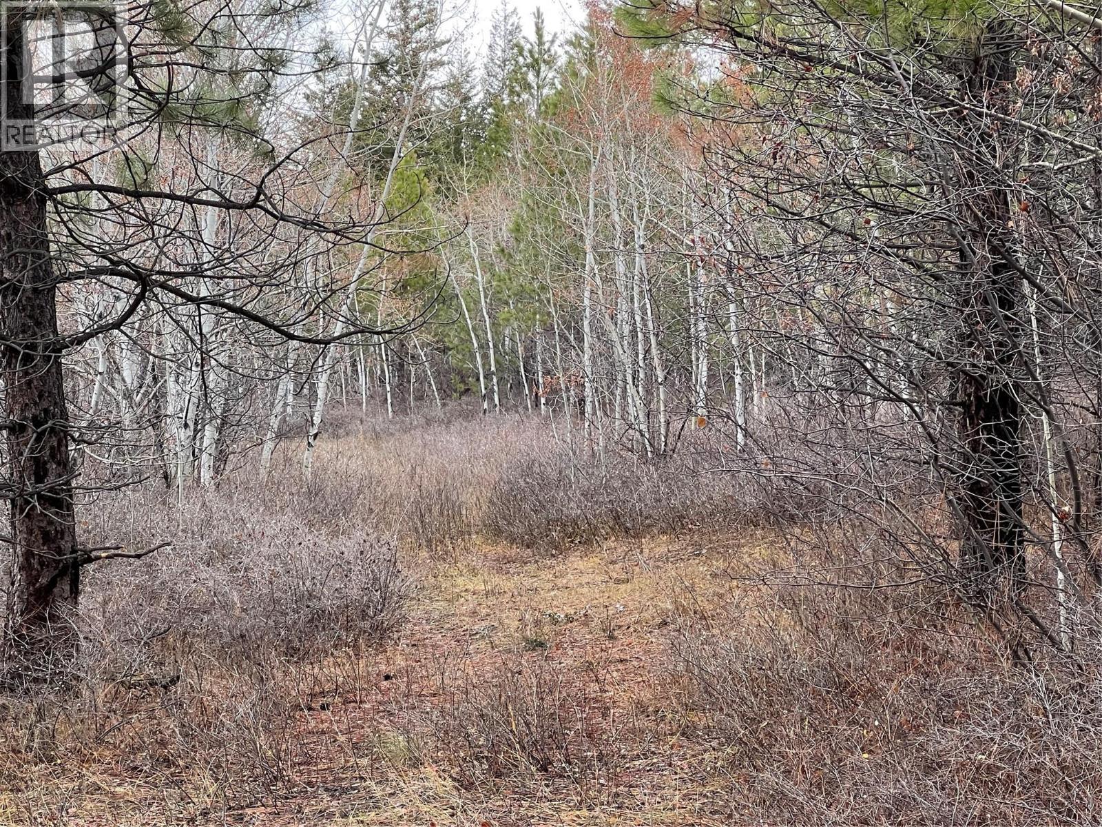 2457 Coldwater Road Unit# Lot 9, Merritt, British Columbia  V1K 1B8 - Photo 11 - 10395236