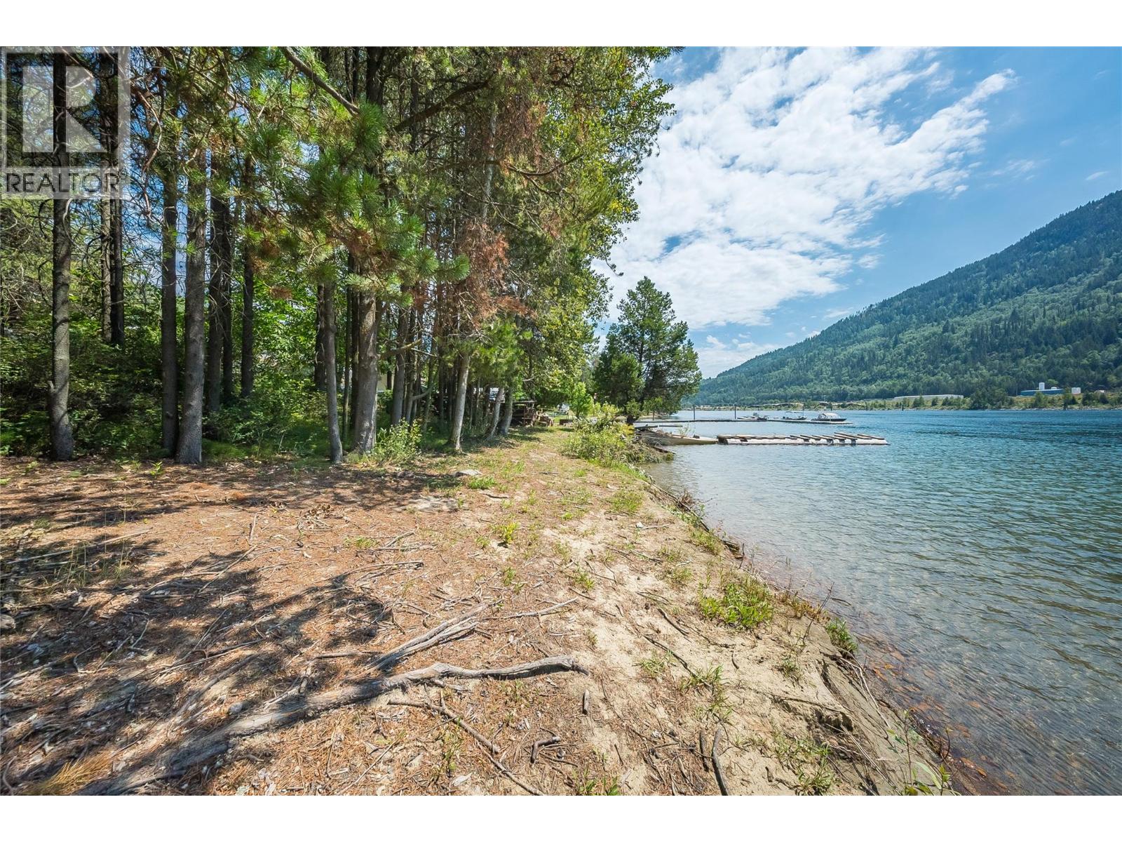 3824 Broadwater Road, Castlegar, British Columbia  V0G 1X0 - Photo 2 - 10394932