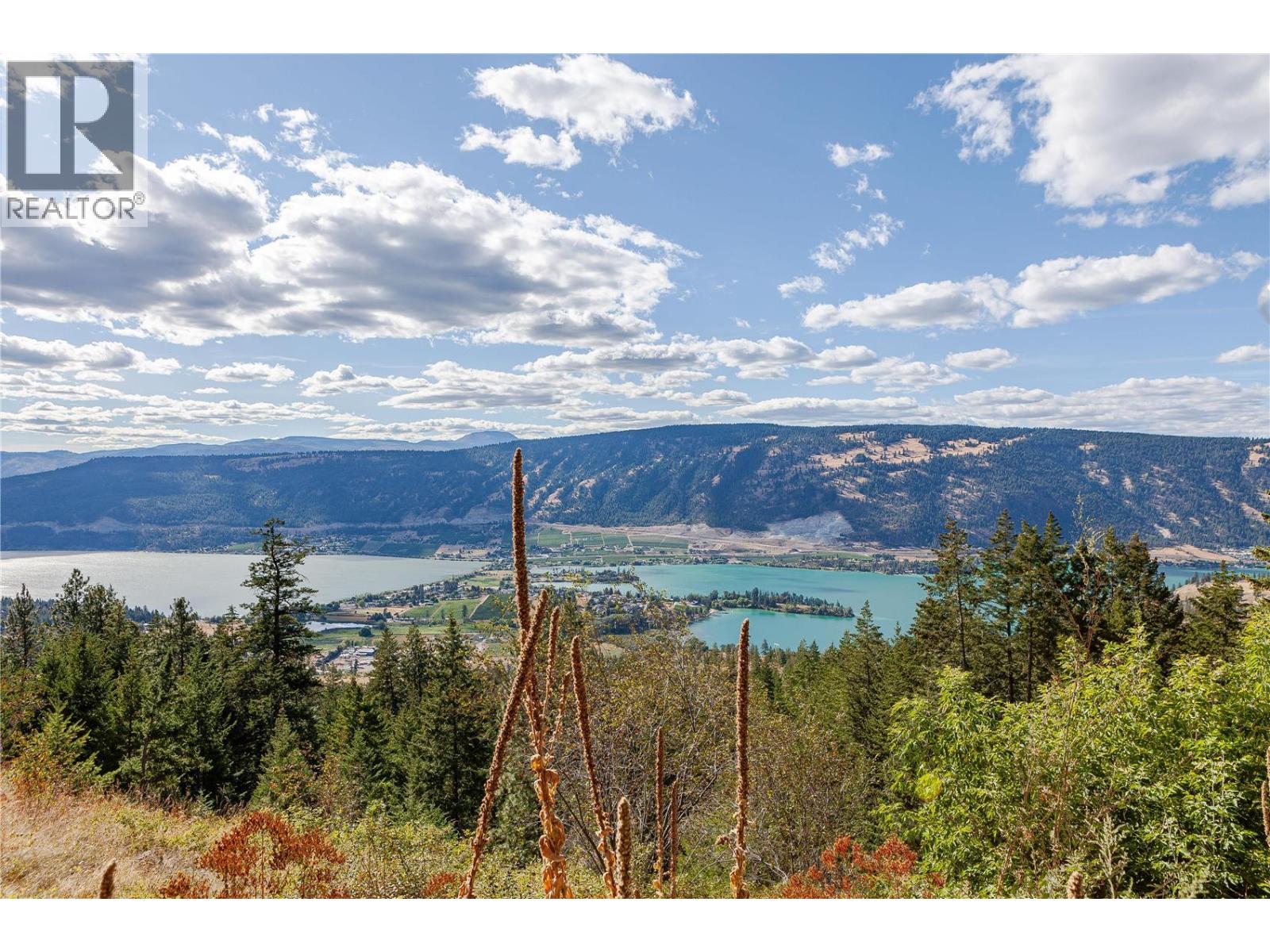 5572 Oyama Lake Road, Oyama, British Columbia  V4V 2C9 - Photo 42 - 10395169