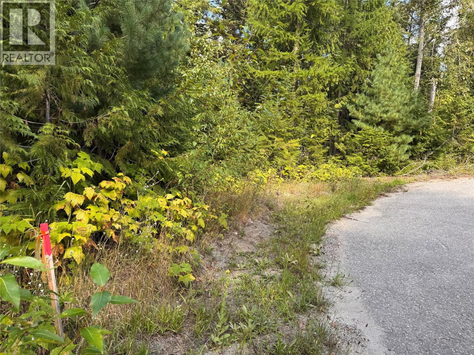 Lot 1 Chase Road, Christina Lake, British Columbia  V0H 1E0 - Photo 1 - 10395202