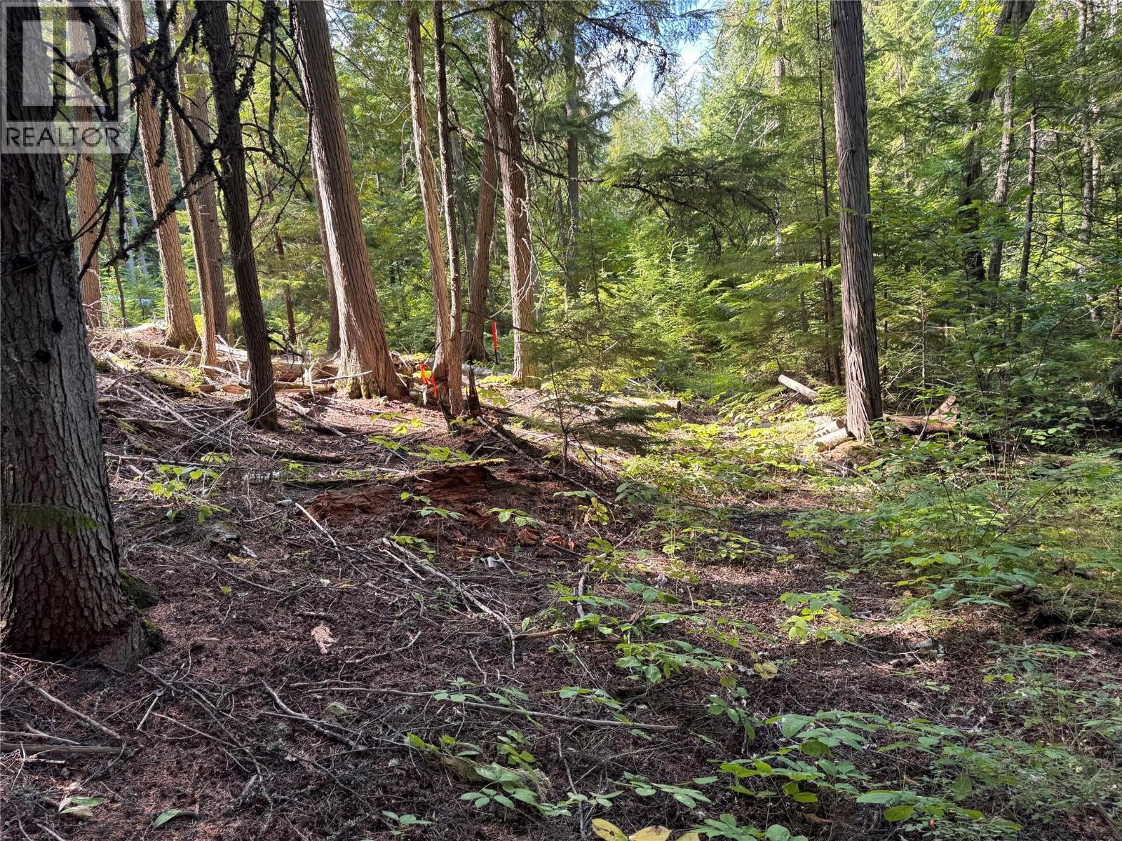 Lot 1 Chase Road, Christina Lake, British Columbia  V0H 1E0 - Photo 5 - 10395202