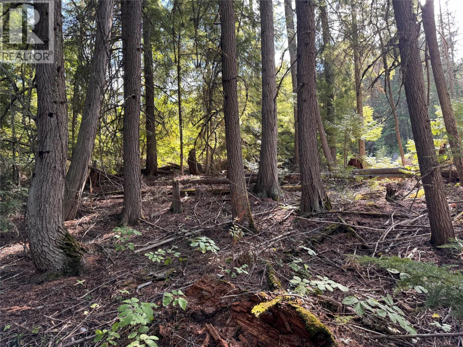 Lot 1 Chase Road, Christina Lake, British Columbia  V0H 1E0 - Photo 6 - 10395202