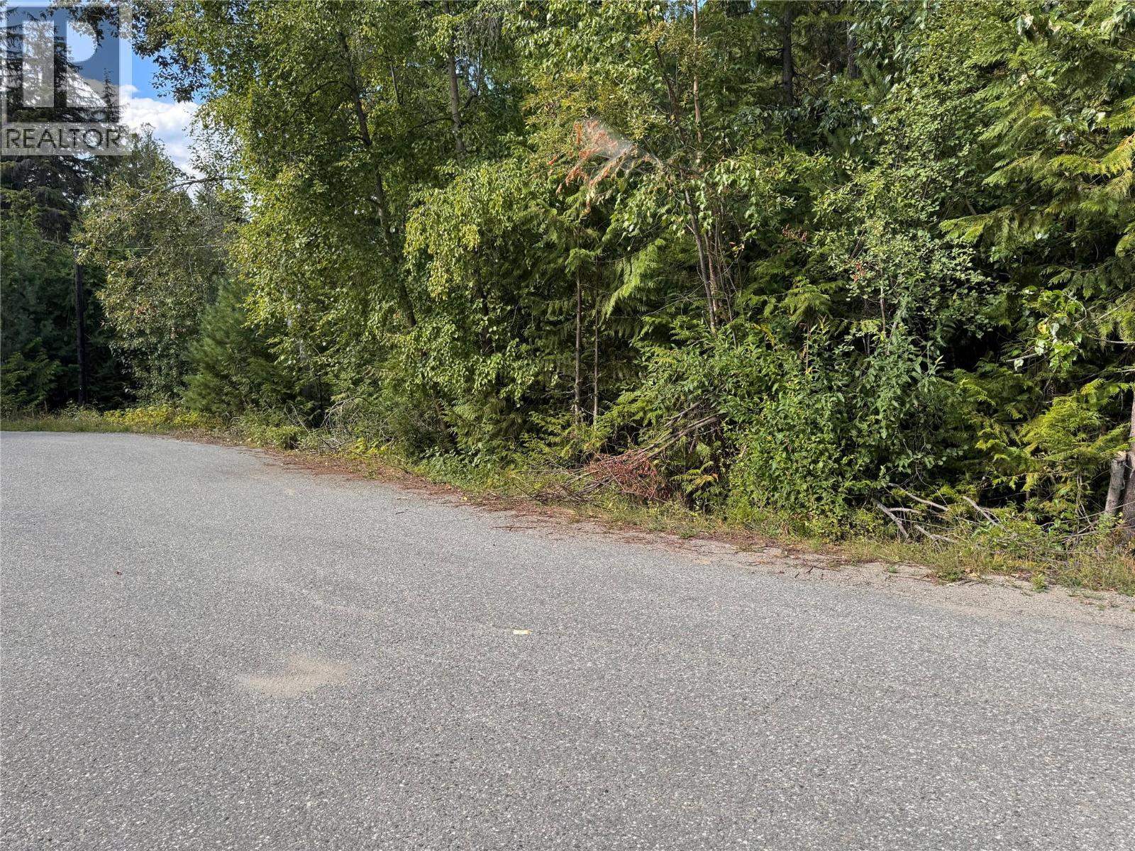 Lot 1 Chase Road, Christina Lake, British Columbia  V0H 1E0 - Photo 7 - 10395202