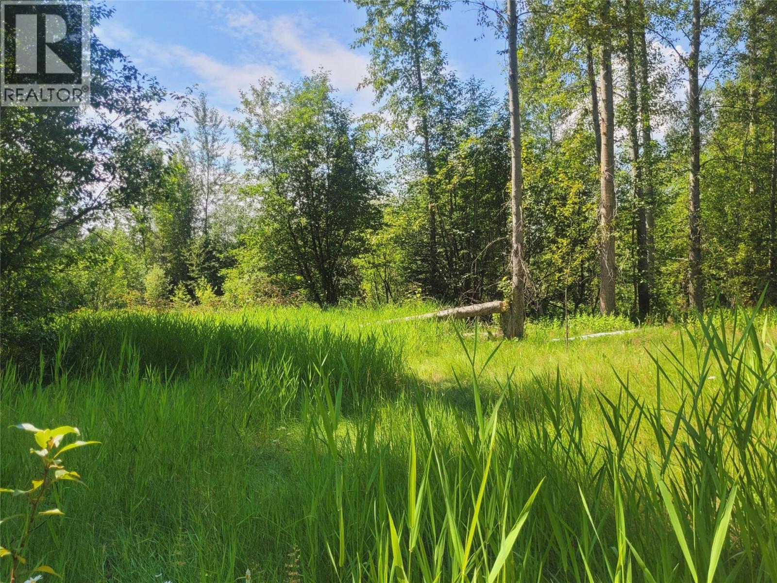 5353 Clearwater Valley Road, Clearwater, British Columbia  V0E 1N1 - Photo 14 - 10395231