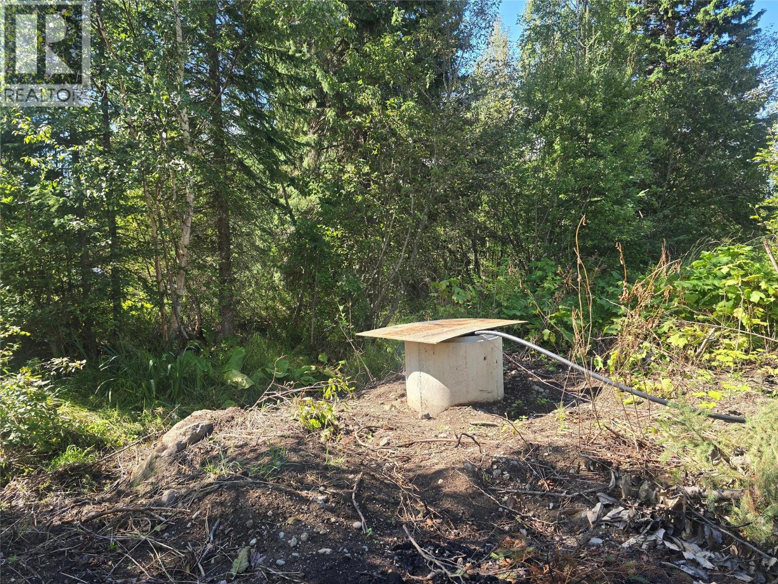 5353 Clearwater Valley Road, Clearwater, British Columbia  V0E 1N1 - Photo 16 - 10395231