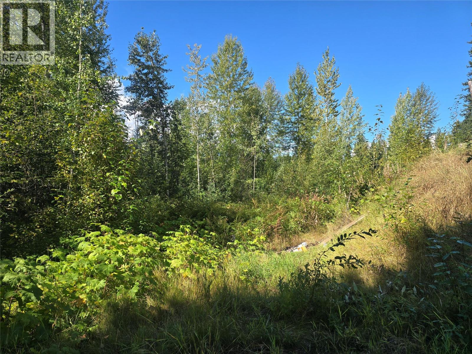 5353 Clearwater Valley Road, Clearwater, British Columbia  V0E 1N1 - Photo 17 - 10395231