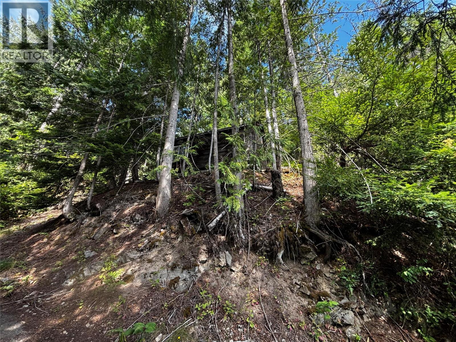 26 Simard Road, Mabel Lake, British Columbia  V0E 1V5 - Photo 9 - 10395129
