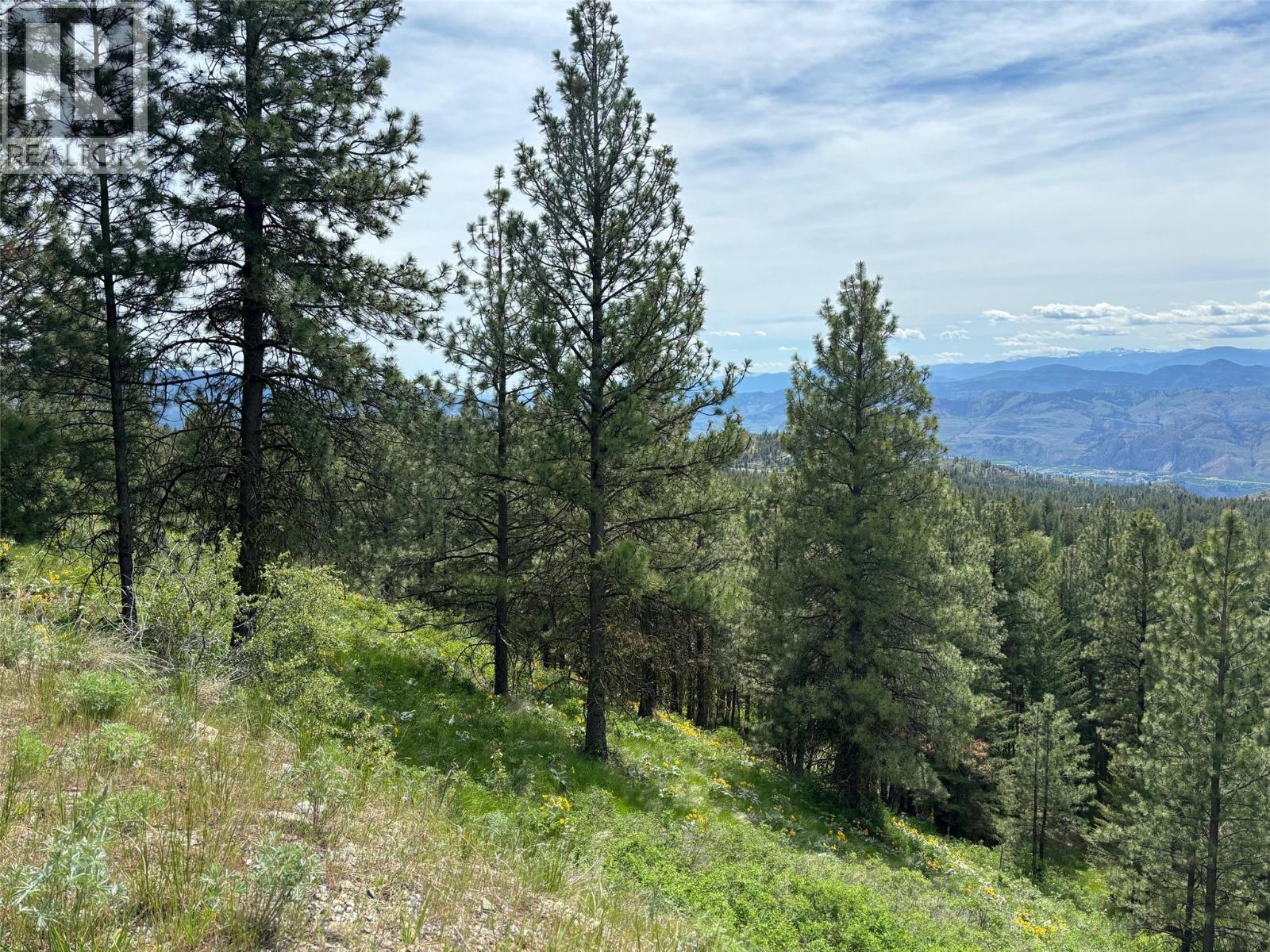 500 Sasquatch Trail, Osoyoos, British Columbia  V0H 1V6 - Photo 10 - 10395324